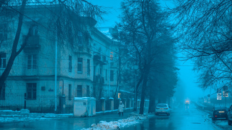 Туман накрыл Воронежскую область до вечера 22 ноября