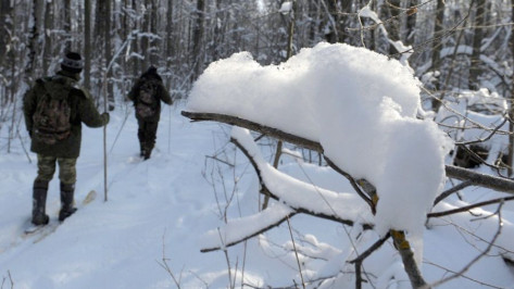 Молодые лесники  Воронежской области получат служебное жилье и бесплатную землю