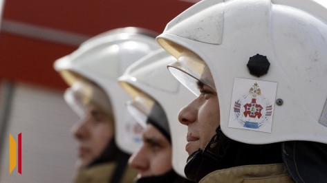 В Воронеже разоблачили фейк о дежурстве сотрудников института МЧС возле военных объектов