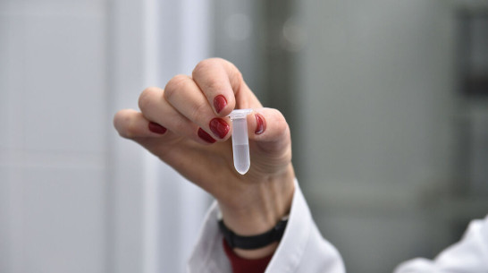 Воронежский вуз начал разработку лекарств от ковида совместно с МГУ и «Вектором»