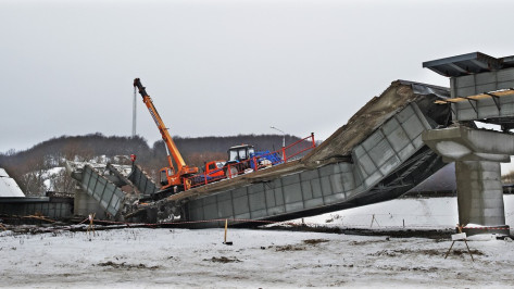 Директор воронежской фирмы ответит за гибель рабочего при обрушении моста через реку Ворона 