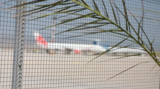 Сдавшие нормы ГТО россияне смогут получить дополнительные дни к отпуску