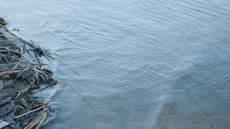 Жители Воронежской области сообщили о грязной воде и гибели рыбы в реке Подгорной 