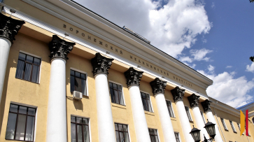 Выборы ректора Воронежского медуниверситета пройдут 5 февраля