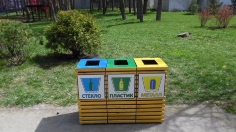 Гринпис включил Воронеж в топ-30 удобных городов для раздельного сбора мусора