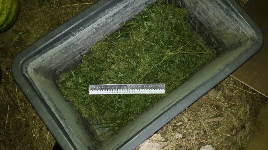 В Воронежской области у рецидивиста нашли 2,5 кг марихуаны