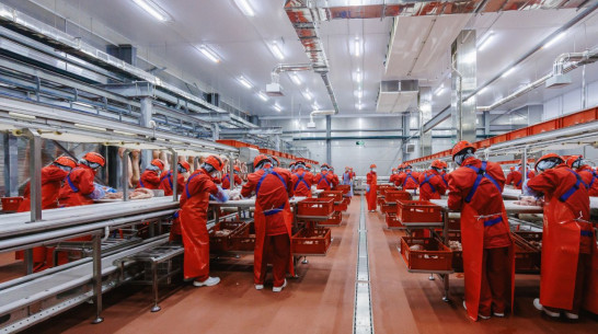 В России открылся еще один завод по производству мясных полуфабрикатов