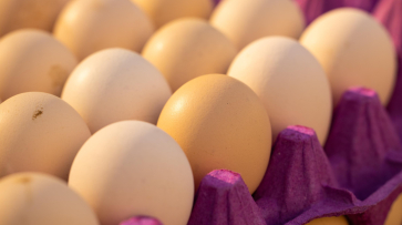 Четыре воронежские компании уличили в единовременном повышении цен на яйца