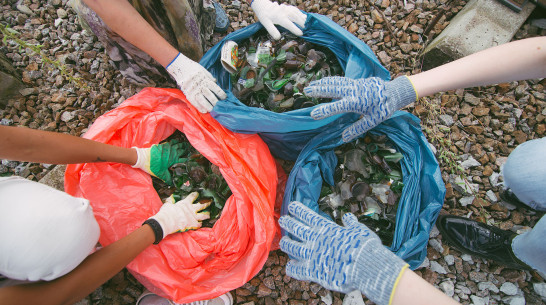 Жители Хохольского района собрали 50 мешков мусора на берегу Дона