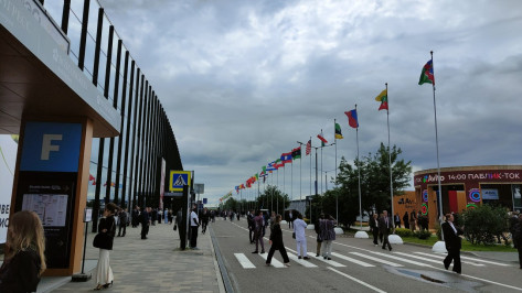 Губернатор Воронежской области примет участие в Петербургском международном экономическом форуме