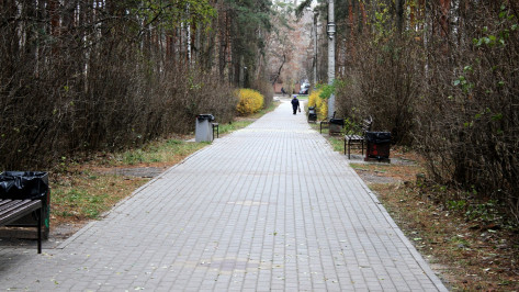 В Воронеже определили концессионера для обновления парка «Танаис» за 415 млн рублей