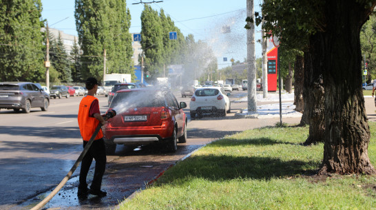 В Воронеже комбинаты благоустройства ухаживают за газонами в аномальную жару