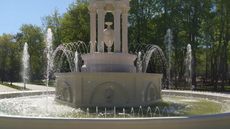 После реконструкции в воронежском парке «Орленок» успешно запустили фонтан