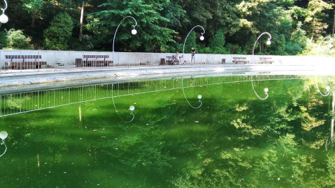 Воронежцы поделились фото позеленевшего озера в Центральном парке
