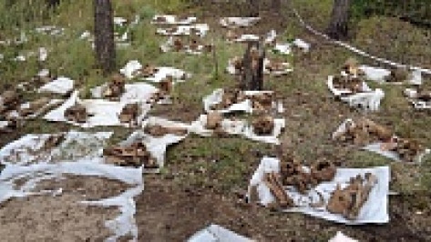 В Воронеже перезахоронят останки 135 жертв политических репрессий