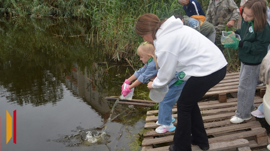В россошанское озеро выпустили 1,5 тыс мальков