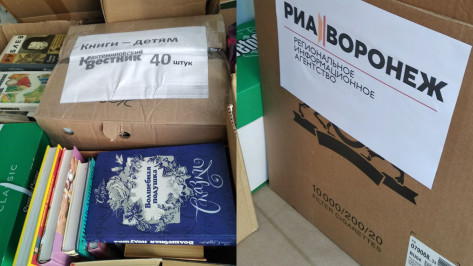 Сотрудники РИА «Воронеж» собрали 20 коробок книг для детей ЛНР