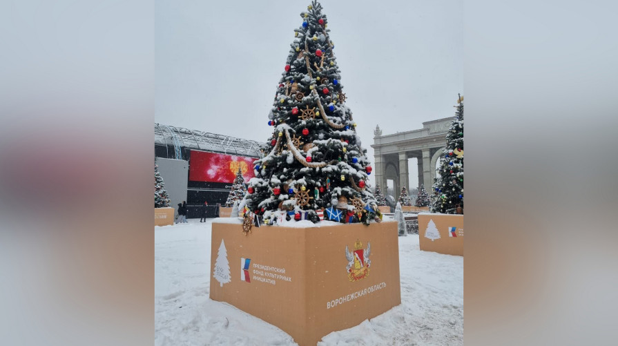 Наши в Москве. Новогодние ели на выставке «Россия» украсили игрушками воронежских мастеров