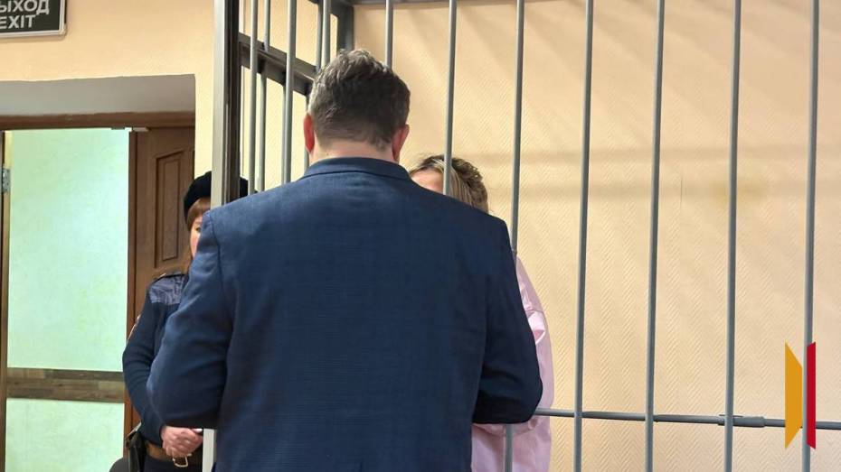 Двум заместителям министра ЖКХ Воронежской области предъявлено обвинение в мошенничестве