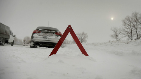 Воронежские автоинспекторы предупредили водителей об опасной дороге