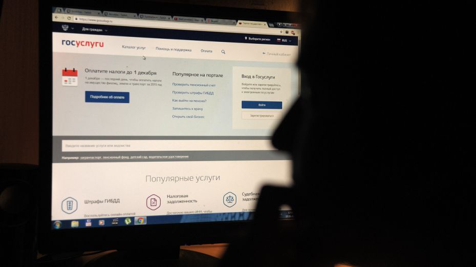 Более 1,5 млн жителей Воронежской области получили госуслуги в электронном виде