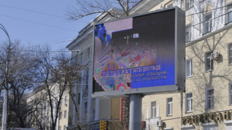 Областные власти предложат арендаторам 73 рекламных конструкций в Воронеже