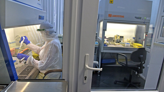 Почти 300 новых случаев коронавируса выявили в Воронежской области