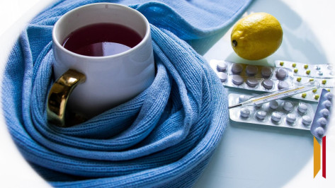 В Воронежской области за неделю ОРВИ заболели 10,4 тыс человек