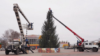 Житель бутурлиновского села Гвазда подарил землякам 14-метровую новогоднюю ель