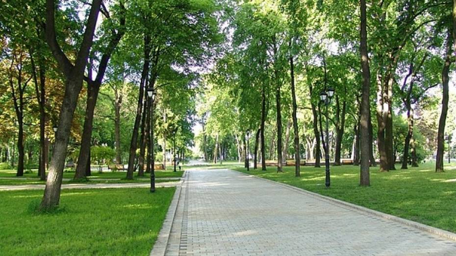 В Лискинском районе появится еще один парк