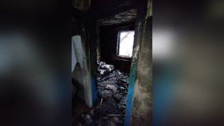Умер 2-летний мальчик, пострадавший при пожаре в Воронежской области