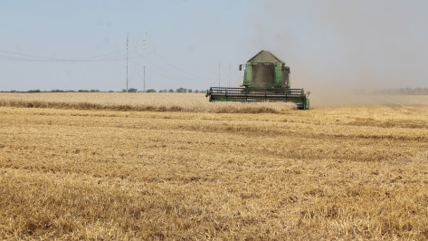 В Хохольском районе закончилась уборка зерновых