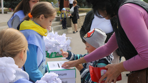 В Семилуках начался второй этап благотворительной акции «Белый цветок»