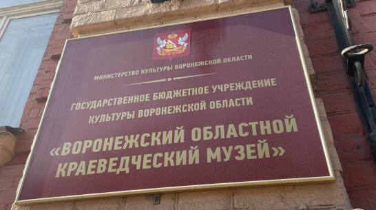 Воронежский музей завершил бережливый проект и стал удобнее для семейной аудитории
