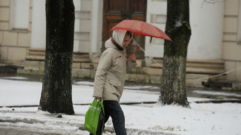 Снег с дождем может пойти в выходные в Воронежской области