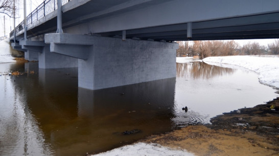 В бутурлиновской Осереди поднялся уровень воды