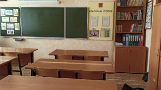 В воронежских школах и других муниципальных учреждениях могут организовать прием больных