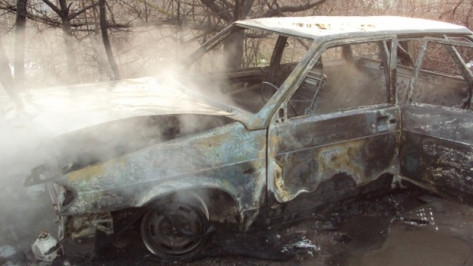 В Воронежской области в лесу нашли сгоревший автомобиль с останками человека 