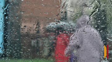 Воронежцев ждет дождливая и облачная рабочая неделя