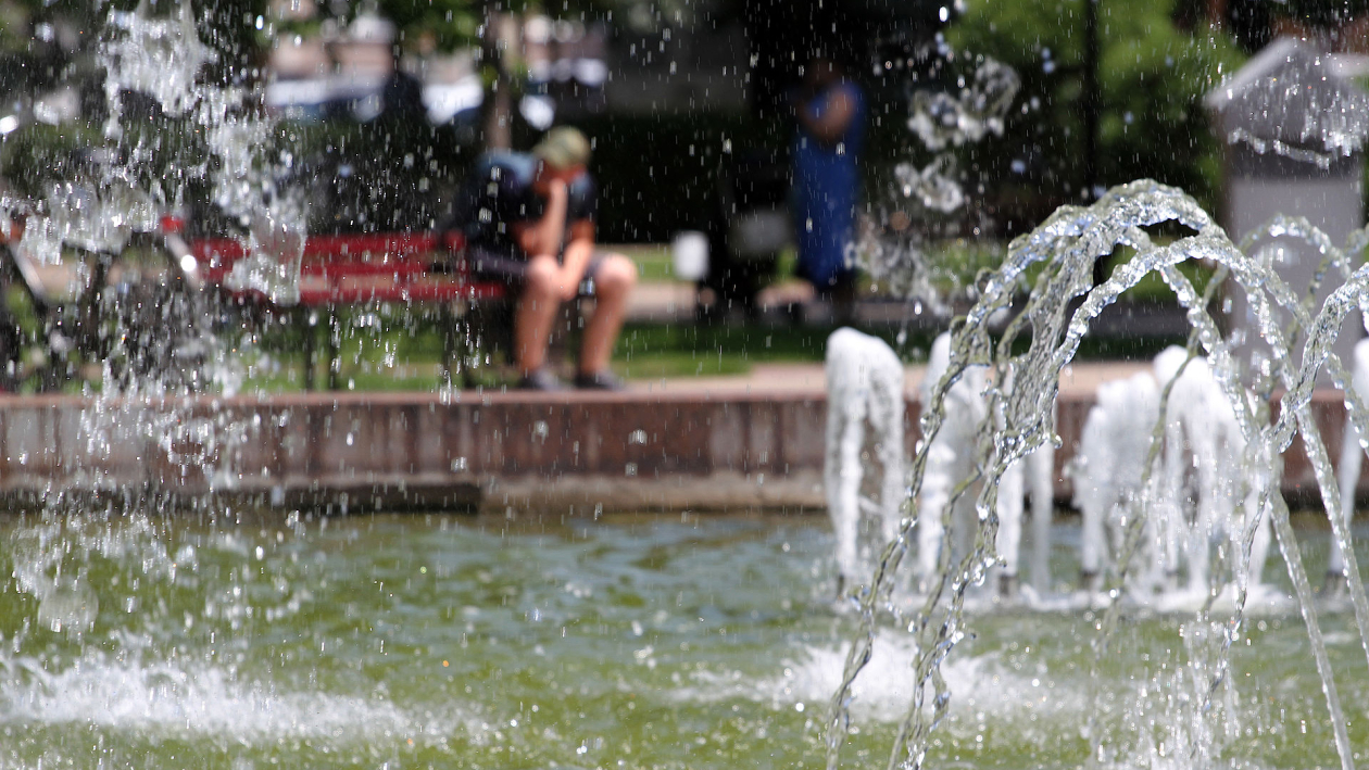 Итоги недели. Что важного произошло в Воронежской области с 21 по 27 июня