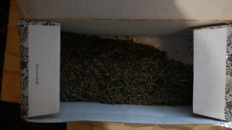 Под Воронежем у мужчины нашли 5 кг марихуаны