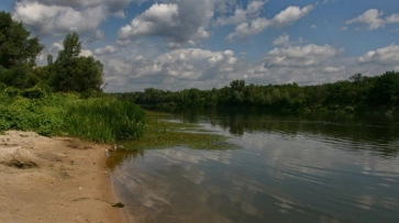 Тело 43-летнего воронежца достали из реки Дон