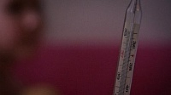 Пробы нигерийки из Воронежа на лихорадку Эбола оказались отрицательными