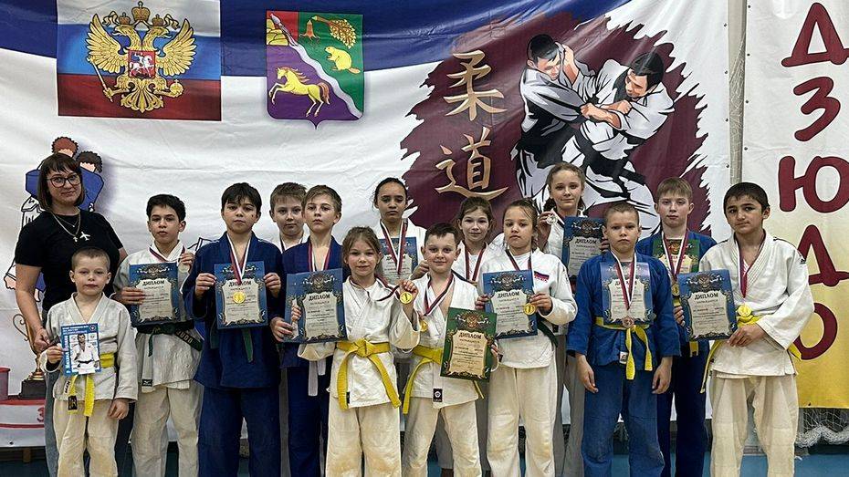 Поворинские дзюдоисты выиграли 13 медалей на открытом первенстве в Боброве