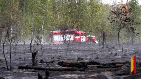 В 5 районах Воронежской области установили чрезвычайную степень пожароопасности