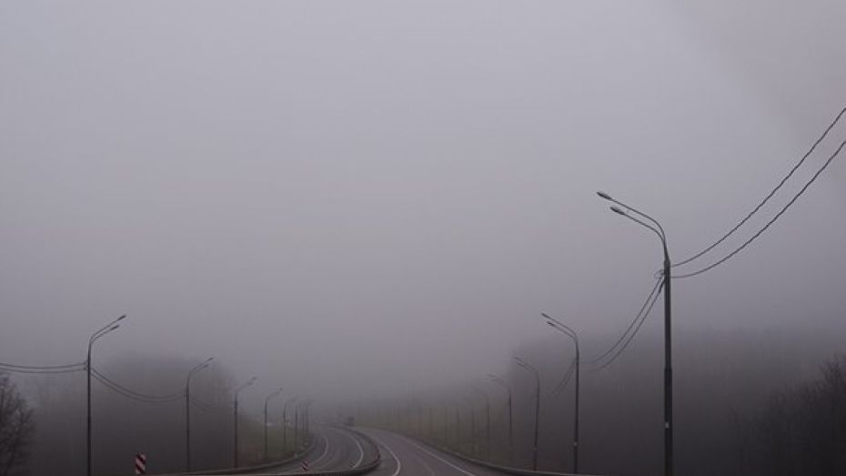 В Саратове отменили рейсовые автобусы до Воронежа из-за тумана