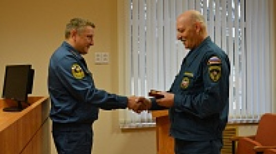 В профессиональный праздник Нижнедевицких пожарных наградили медалями 