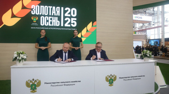 Воронежский минсельхоз и Национальный союз агростраховщиков заключили соглашение о сотрудничестве