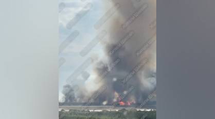 В воронежском СНТ «Железнодорожник» горит лес: видео