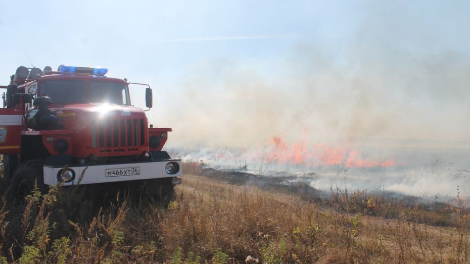 Под Борисоглебском пожарные несколько часов тушили ландшафтный пожар